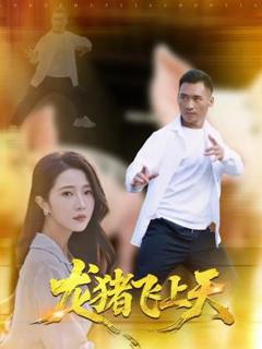 《龙猪飞上天》