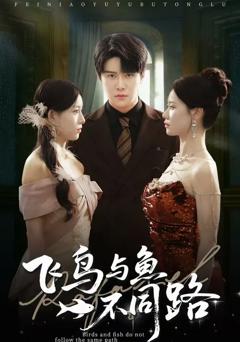 《飞鸟与鱼不同路》