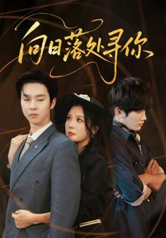 《向日落处寻你》