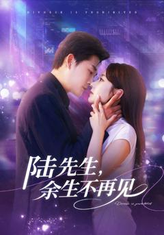 《陆先生，余生不再见》