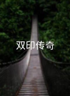 《双印传奇》