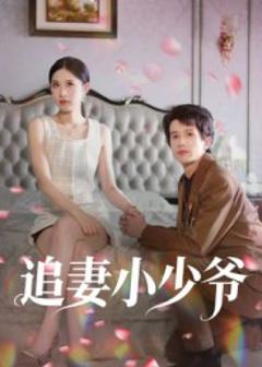 《追妻小少爷》