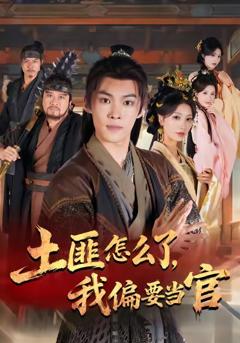 《土匪怎么了，我偏要当官》