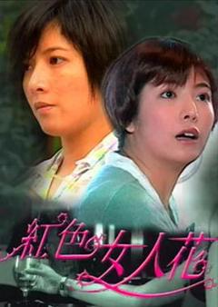 《红色女人花》