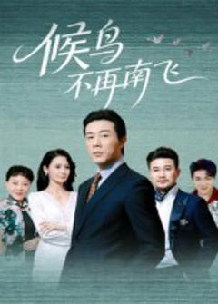 《候鸟不再南飞》