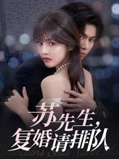 《苏先生，复婚请排队》