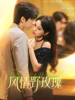 《风情野玫瑰》