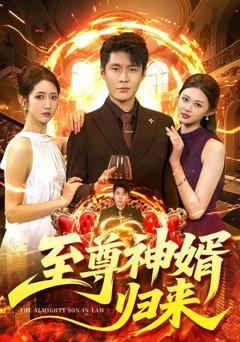 《至尊神婿归来》