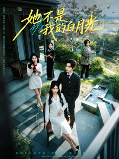 她不是我的白月光
