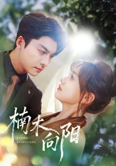 《楠木向阳》