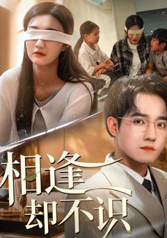 《相逢却不识》