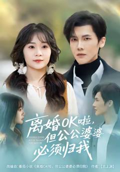 《离婚OK啦，但公公婆婆必须归我》