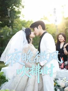 《夜晚微风吹拂时》