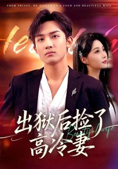 《出狱后捡了高冷妻》