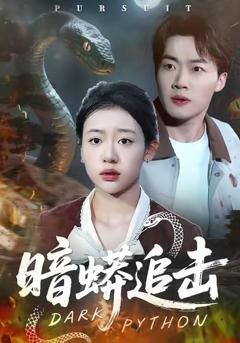 《暗蟒追击》