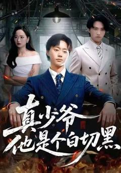 《真少爷他是个白切黑》