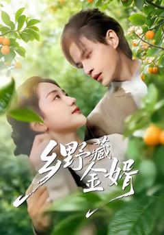 《乡野藏金婿》