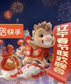 《2026辽宁卫视春晚》