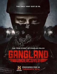 黑帮卧底第一季