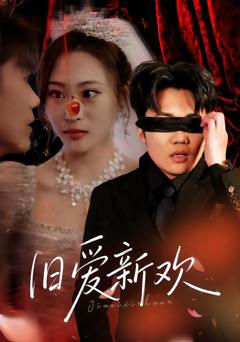 《旧爱新欢》