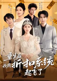 《重生后我用折扣系统起飞了》