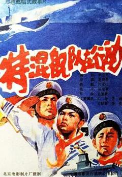 《特混舰队在行动》