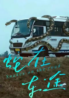 《蛇在车途》