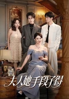 《夫人她手段了得》