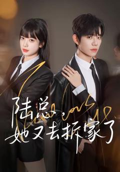 《陆总，她又去拆家了》