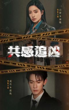 《共感追凶》