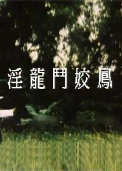 《淫龙斗娇凤》