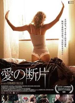 爱之碎片