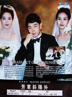 《芳草斜阳外》