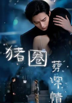 《猪圈葬深情》