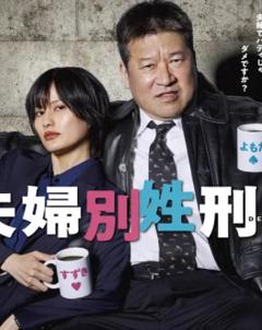 《夫妇别姓刑警》