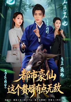 《都市豪仙，这个赘婿有点无敌》