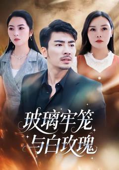 《玻璃牢笼与白玫瑰》