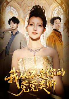 《我从不是你的莞莞类卿》