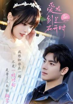 《爱在剑兰花开时》