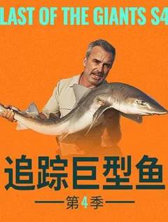 追踪巨型鱼第四季