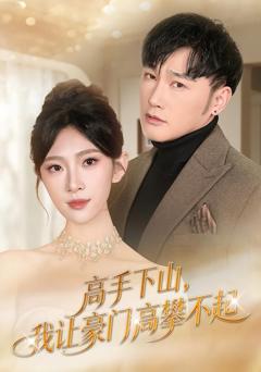 《高手下山，我让豪门高攀不起》