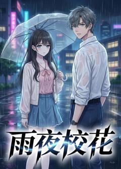 《雨夜校花》