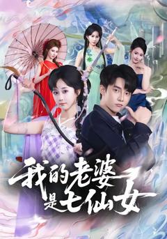 《我的老婆是七仙女》