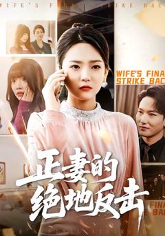 《正妻的绝地反击》