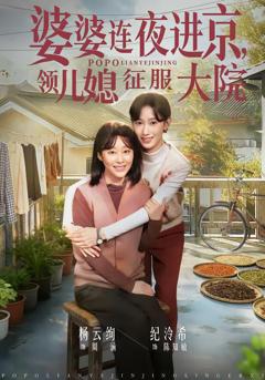 《婆婆连夜进京，领儿媳征服大院》