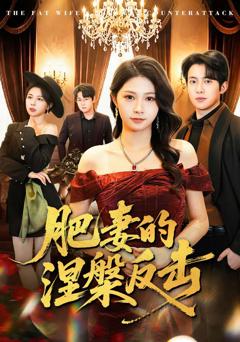 《肥妻的涅槃反击》