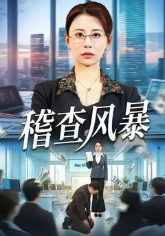 《稽查风暴》