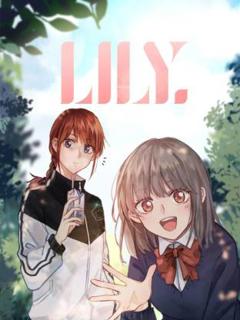 《Lily》