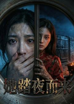 《她踏夜而来》