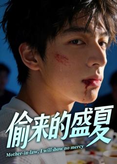 《偷来的盛夏》